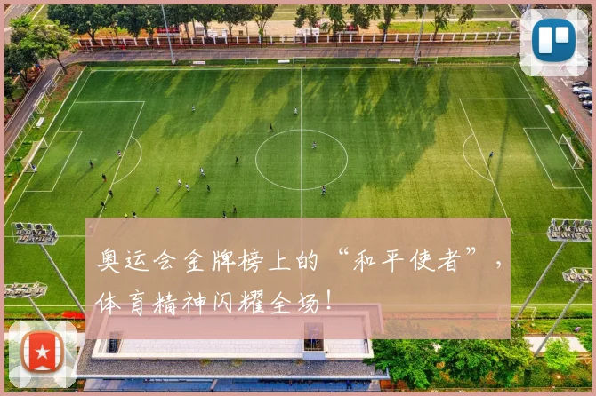 奥运会金牌榜上的“和平使者”，体育精神闪耀全场！